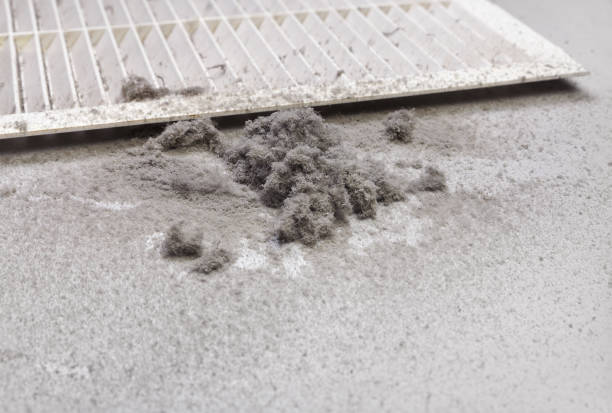 Best Local Air Duct Cleaning Services  in Mount Rainier, MD