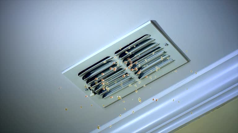 Best Affordable HVAC Duct Cleaning  in Mount Rainier, MD