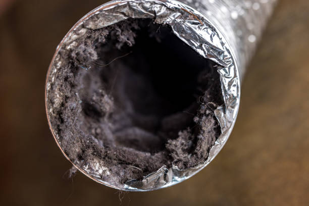Best Ventilation Cleaning Services  in Mount Rainier, MD