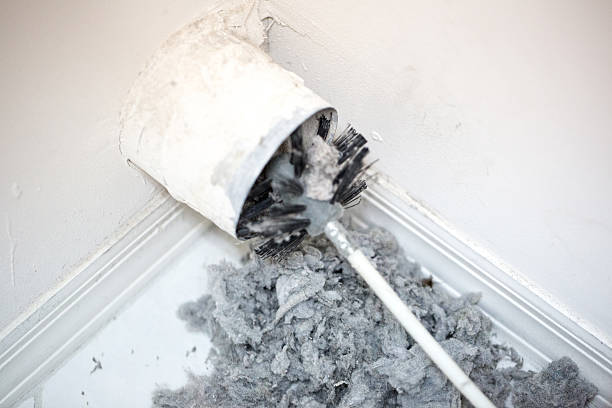 Best HVAC Air Duct Cleaning  in Mount Rainier, MD
